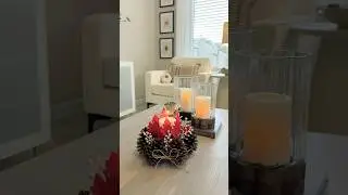 Look what you can do with pine cones to decorate your house!!🍂🍁