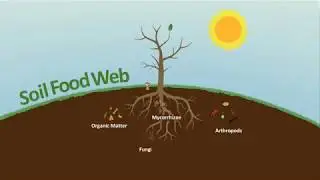 Soil Food Web - Green House Feeding Bio Line