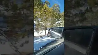 I miss wintertime in Cyprus🥰 #winter #cyprus #troodos #travel #shortsvideo #shorts #shortsfeed