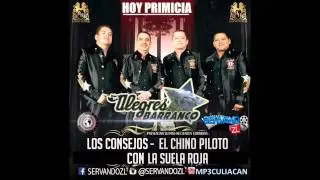 Los Consejos