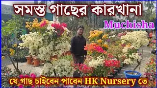 গাছ তৈরীর কারখানাতে আমরা যা চাইবেন সবকিছু পাবেন এখানে special nursery visit