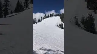 Pat The Rat makes some turns at Tahoe Palisades