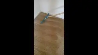 Carpet Grooming Process