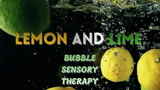Therapeutic Lemon Lime with Soothing Music - Calming Sensory Bubbles