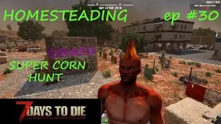 Homesteading ep 30 | Super Corn | Farmer Animol  | Alpha 21