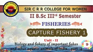 9. II BSc 3rd Sem - FISHERIES - CAPTURE FISHERY 1- Unit 2 - Biology & fishery of important fishes