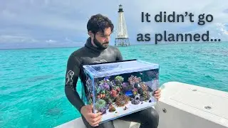 I Tried to Bring the Ocean Home — This Is What Happened