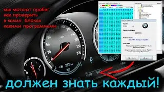 все о пробеге автомобиля, как проверить, где находится, какими программами корректируется