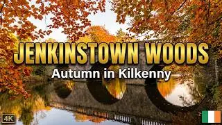 AUTUMN COLOURS JENKINSTOWN WOODS KILKENNY IRELAND 4K CINEMATIC DRONE 