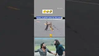 🤣🔥👌#animal #movie #means #trendinganimals #trending
