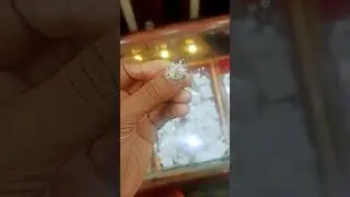 silver tortoise Ring(925)
