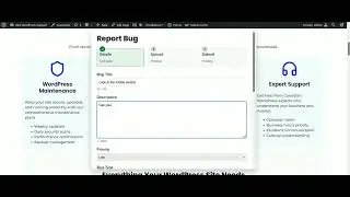 Streamlining Bug Tracking for WordPress Websites with Web 321