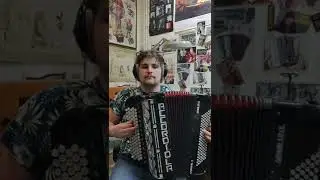 Bloesem van Seringen | Leen de Keijzer Accordion
