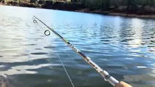 Hog Lake, Washington Black Friday fishing 🎣 