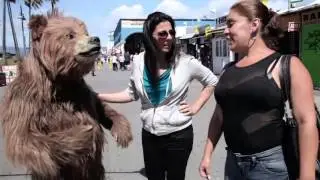 Bruno the Bear for the CA Stay Golden initiative