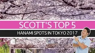 The Gaijin Guide: Top 5 Tokyo Hanami Spots 2017