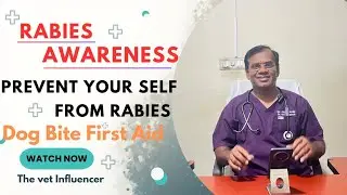 RABIES AWARENESS// Prevent yourself from rabies |Dog bite First Aid  #veterinarian #rabiesawareness 