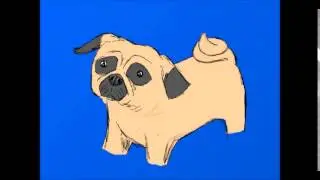 Barking Pug