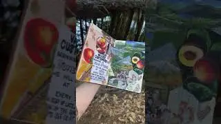 Summer Junk Journaling in My Bujo
