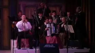 Žikino kolo