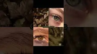 What's your eye color?#popular #aesthetic #grey #brown #blue #green #amber #black #goldenhour