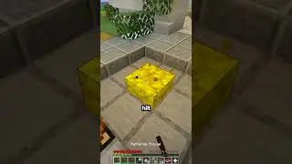 IP-адрес сервера Minecraft OneBlock