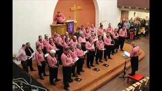 De Tollenaar - Onger Oens