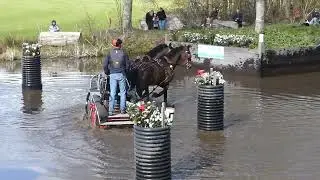 97 HEIBING Lars, DEN, Horse Pair CAI3# H2, CAI Exloo 2025, Marathon 29 03 2025, Ob 6