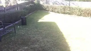 Bose F1 812 backyard sound test