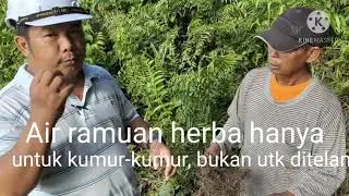 #penan#herba#pakupakis Adat Istiadat & Pantang Larang Kaum Penan. Rahsia Herba: Episode 06