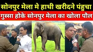सोनपुर मेला मे हाथी खरीदने बंगाल से पंहुचा, मेला देख हुआ टमाटर के तरह लाल | Sonpur Mela 2023