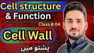 Cell structure and function 04 || Cell wall in Pashto 