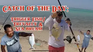 First Time nakahuli ng Trigger Fish(Pakol) at Sea Bream(Bakoko )sa Spot na To! @NilBetTV