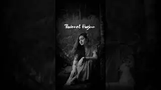 Love failure status / sad status / Lyrical Video /Tamil Film song / Heart Broken