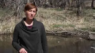 Meet Patricia &ldquo;Patty&rdquo; Champ, Research Economist