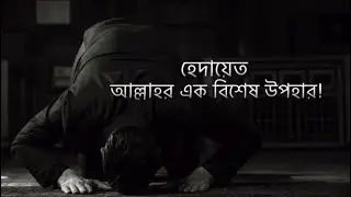 হেদায়েত আল্লাহর পক্ষ থেকে আসা এক বিশেষ উপহার!|Way to Deen