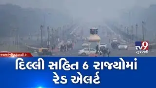 Winter 2019: 'Red alert'  in Delhi, Rajasthan, Punjab, UP, Hariyana, Bihar| TV9News