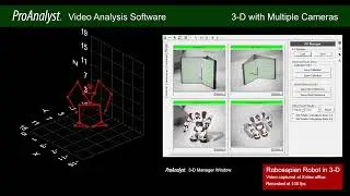 Robosapien Robot in 3-D | SICB 2022 3-D Reel Video