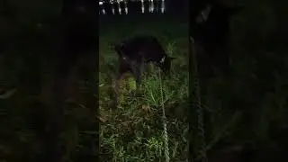 gió mát
