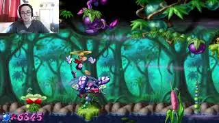 Swamps of Forgetfulness from Rayman 1 (Rayman Redemption because losercore)