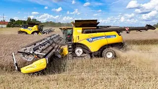 2x New Holland CR 10.90 mit 12m MacDon FD240 bei der Rapsernte