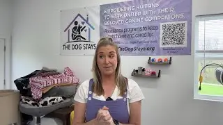 OzarksFirst Exclusive: The Dog Stays Headquarters Tour