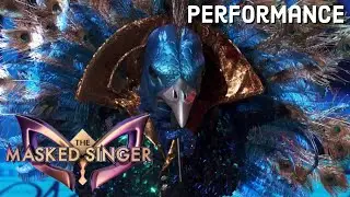 Peacock sings &ldquo;Let&rsquo;s Go&rdquo; by Calvin Harris ft. Ne-Yo | THE MASKED SINGER | SEASON 1