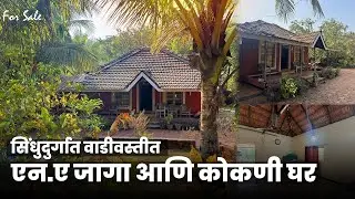 सिंधुदुर्गात एन.ए जागा आणि कोकणी घर | अविश्वसनीय किंमतीत ! Developed Property | P314