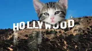 CatCafe Lounge - Something Big is Coming!