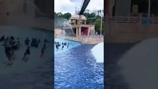 Sunway Lagoon water park. surf pool Waves of Fun😊#youtube #youtubeshorts #funnymemes#shorts #short