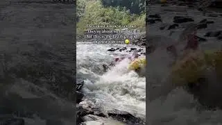 The Last Rapid on the Ocoee River