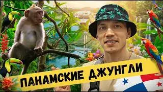 5 вещей, которые нужно знать перед посещением парка Метрополитан в Панаме