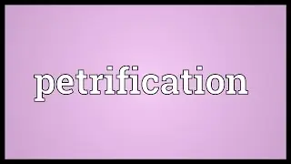 Petrification Meaning