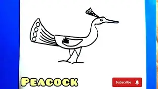 How to draw a cute Peacock, drawing ideas // learn to draw ? 
